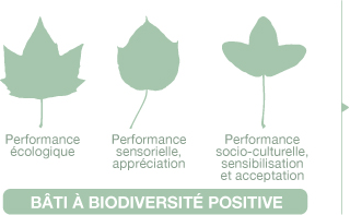 Bâti à biodiversité positive
